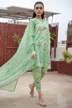 Duchess 3 piece